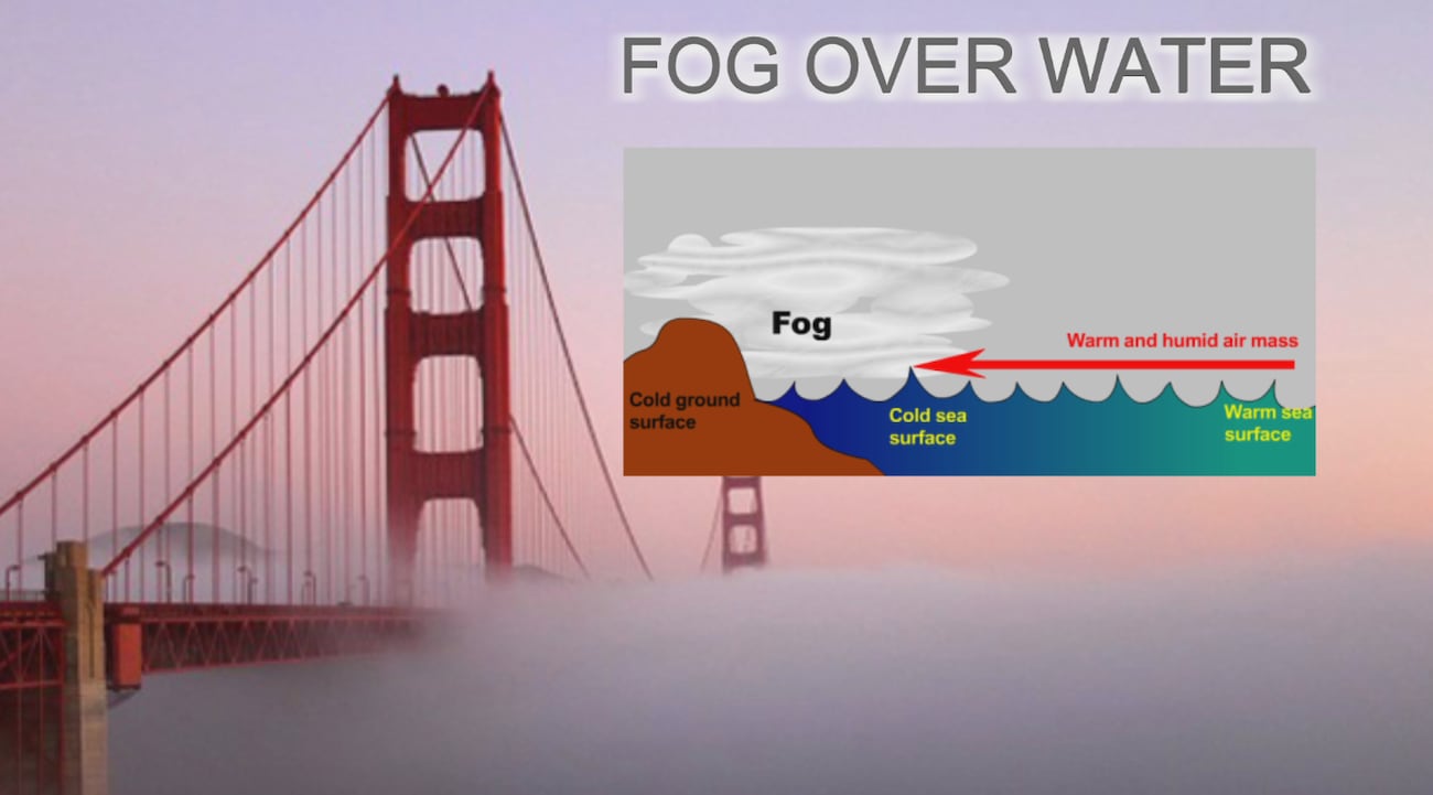 The mist story of how different forms of fog come to be