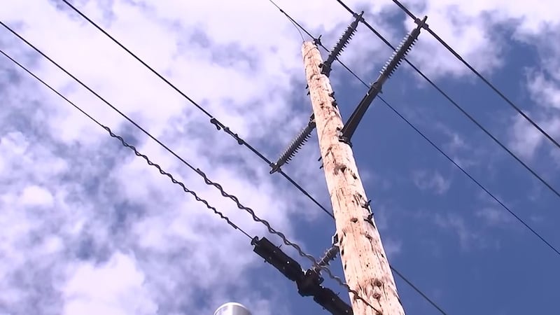 Dawson Public Power District has adopted a formal wildfire mitigation plan, becoming one of...