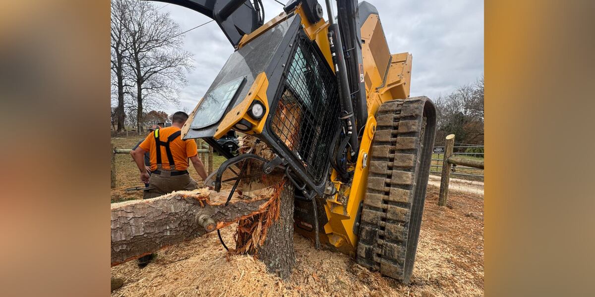 Manloader Example Man ‘miraculously’ survives being pinned in track loader by large tree ...