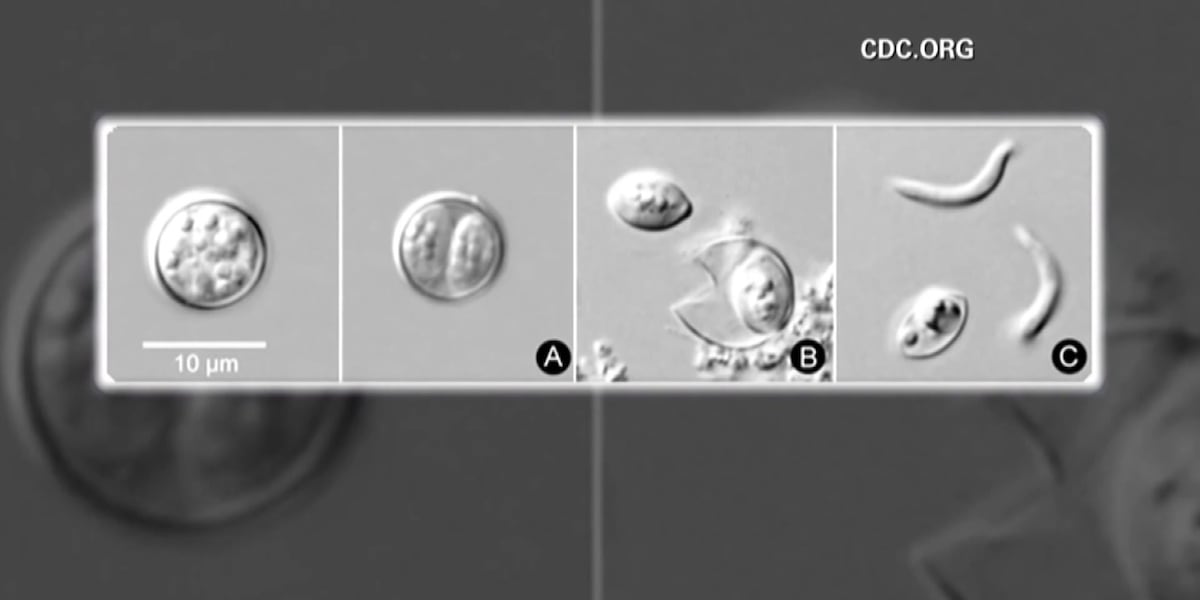 Cyclospora found in the Two Rivers Public Health Department