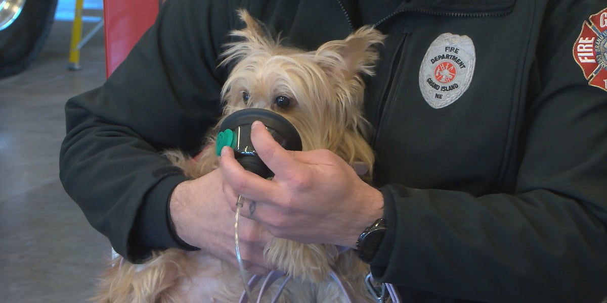 Grand Island fire crews use donated pet oxygen masks to save dog