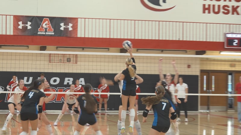 St. Paul Wildcats Volleyball