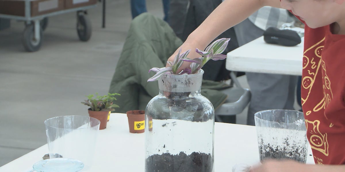 Kearney Terrarium Workshop Helps Residents Escape Winter Cold kearney-terrarium-workshop-helps-residents-escape-winter-cold